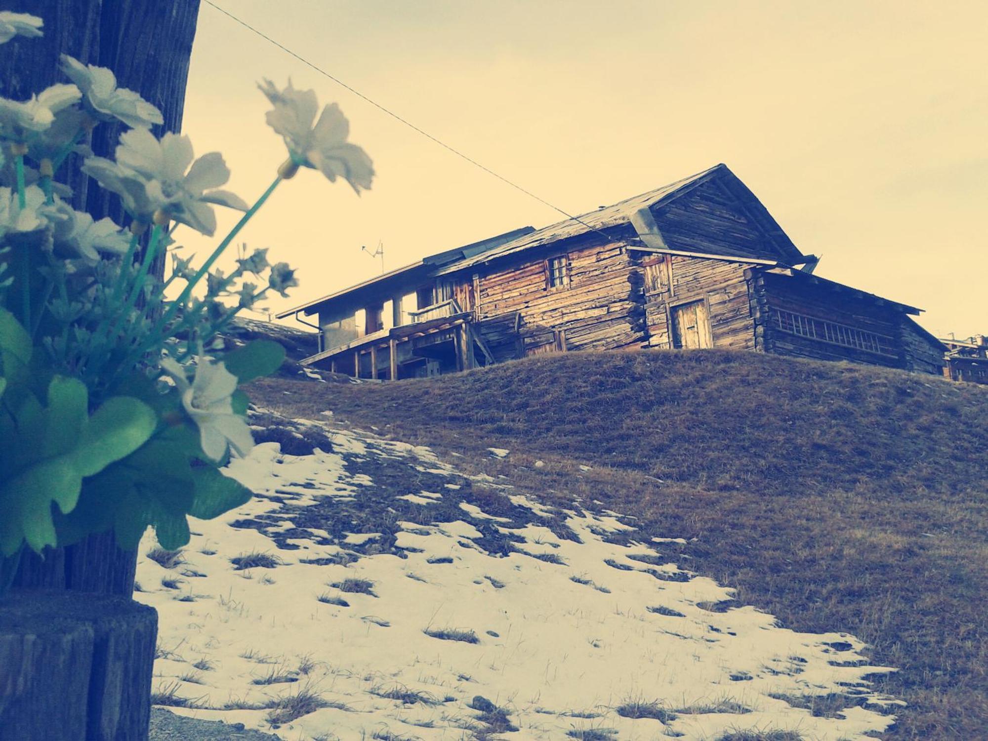 Hotel La Tea Livigno Chambre photo